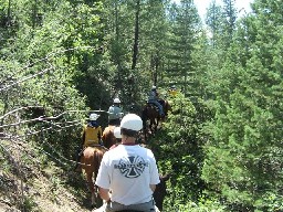 Trail Ride from Ponil